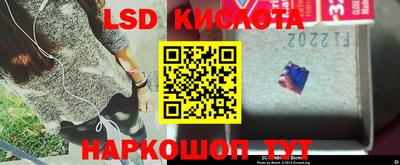 спиды Лениногорск